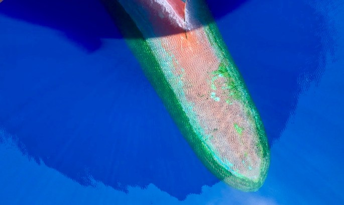 Frame-06-08-2017-10-17-58