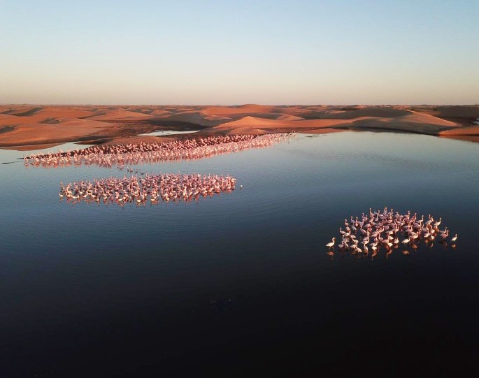 90116b10-8a39-4756-b71e-66422973d19c