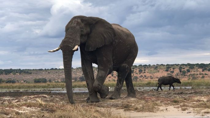 ae5c867c-72a8-4ad8-8942-1c63c9d4f92f