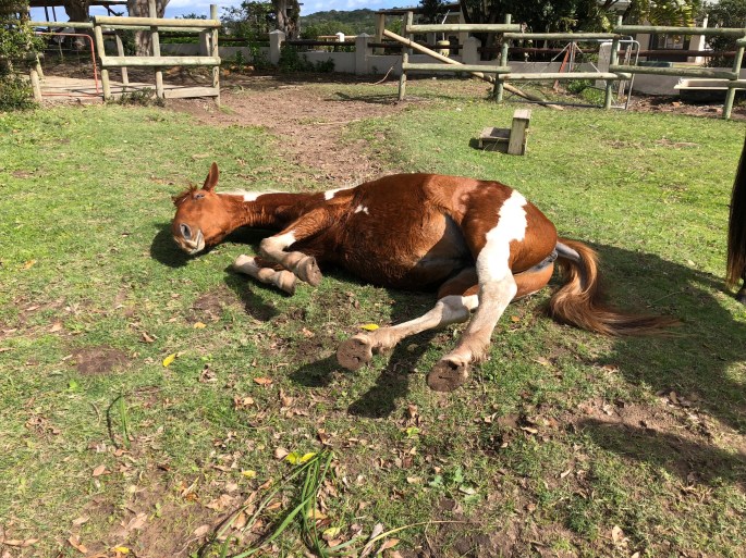 QqL2jdWQSNaWAbDlXI0AHw