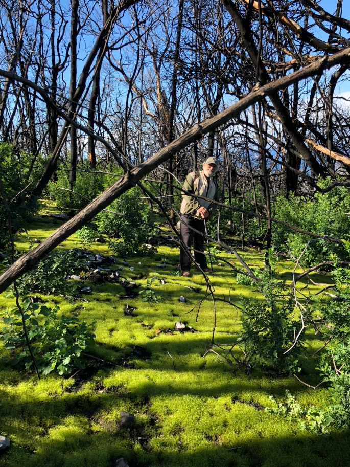 YlZ6K1O5RWy5PclqchOGAA