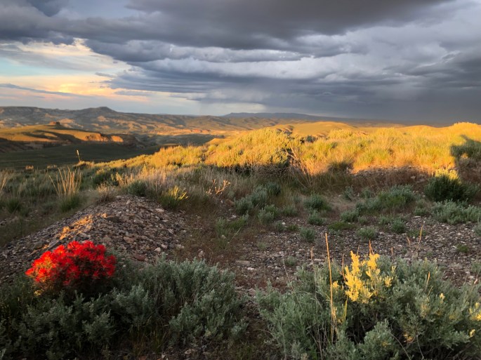 5kSyAHHLSeaXwutP1edZAA