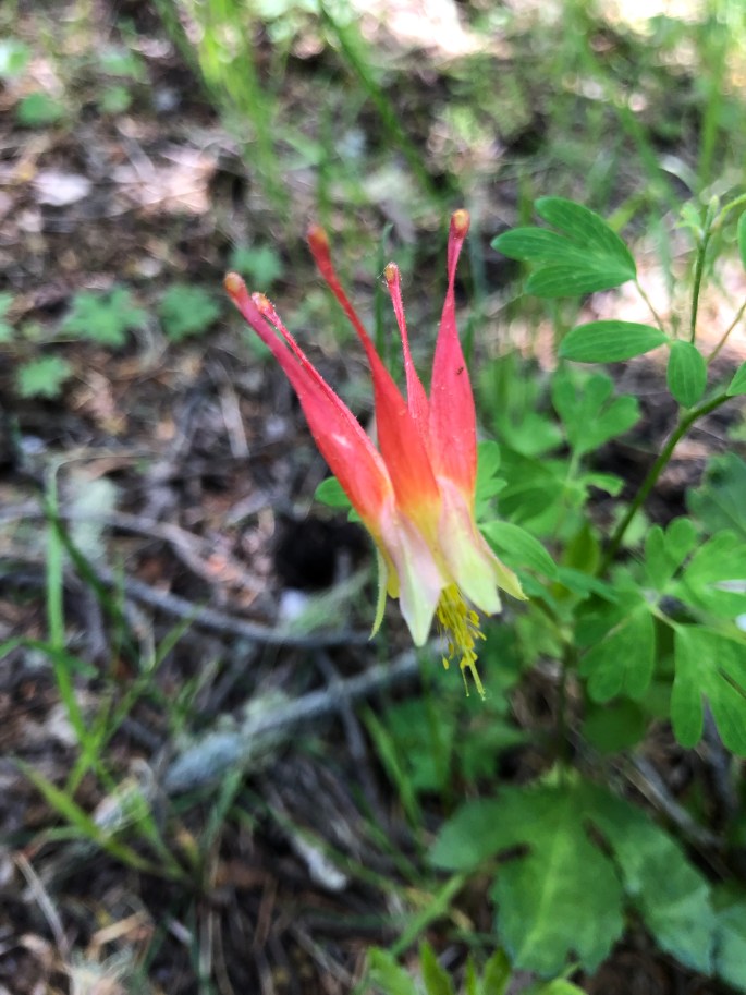 Ck%qWr5qQ4q4mqINw1dGCA