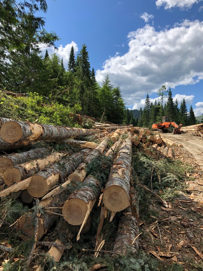 Uc1GENSYRliuKXEDoOzWLQ