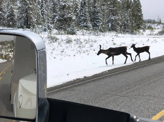 DbiTrb+eTmucsWwJBfpXWg