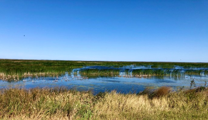 DAE781F1-F3BE-414B-952E-753E4D90A0BE_1_201_a