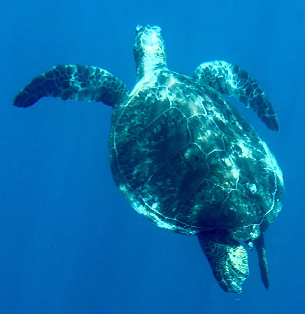 015754CB-B3C8-49DF-9029-1933015B2C70