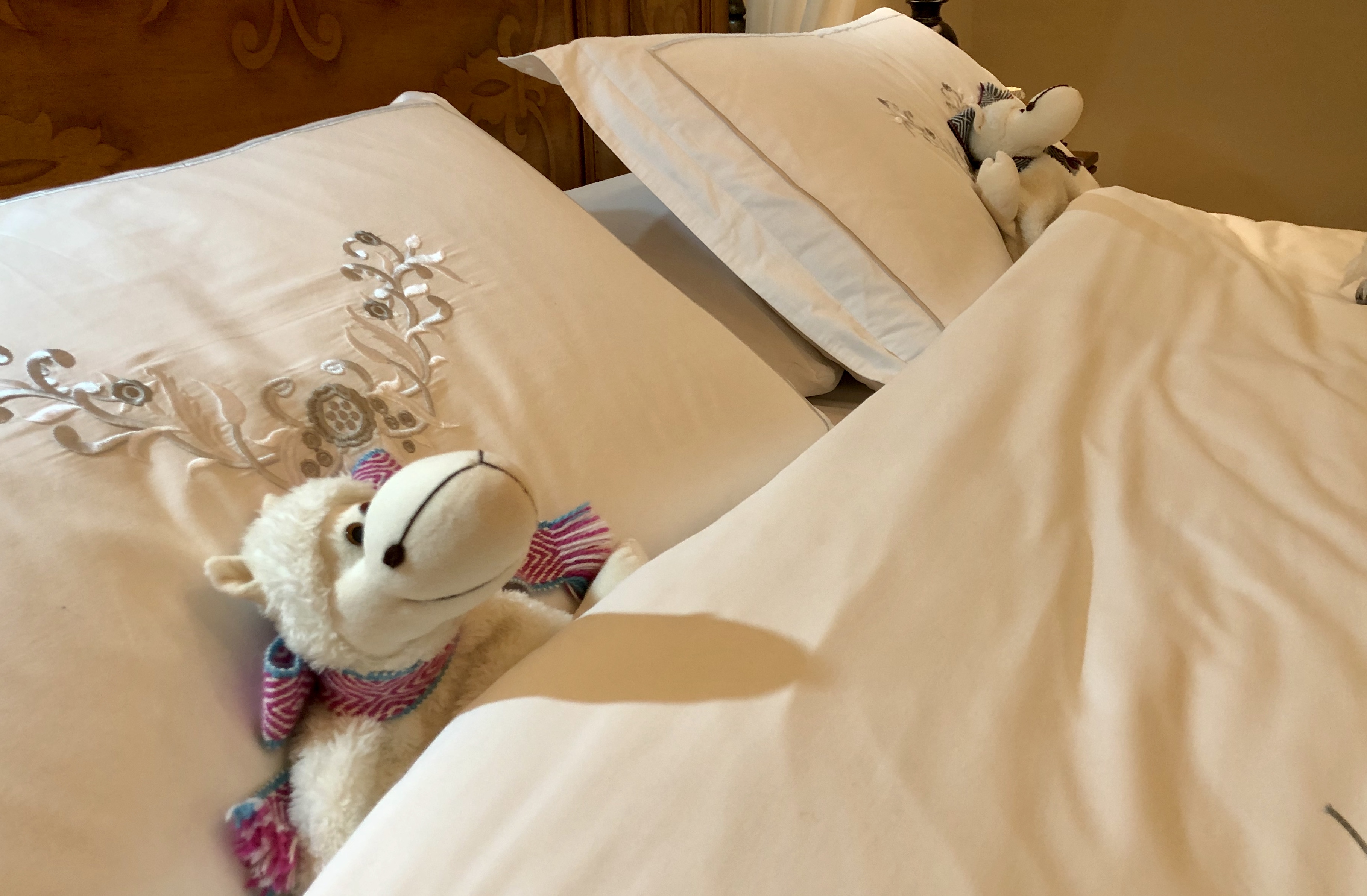 165BB935-2F7B-4AA5-AB0B-3B7DF9D31A71