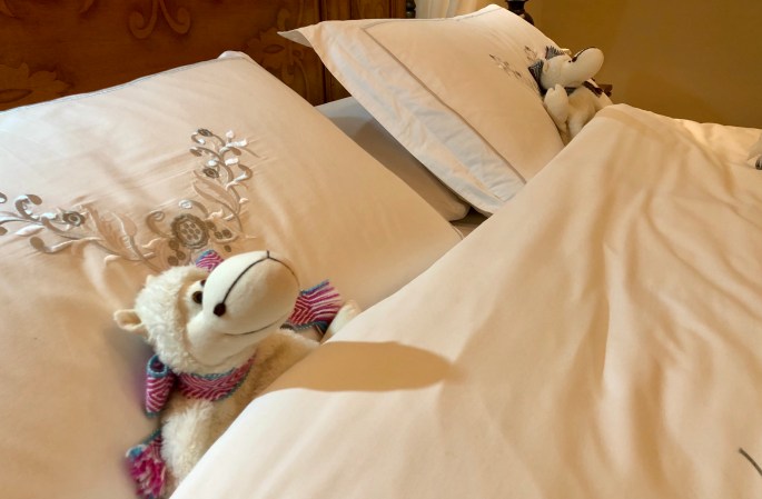 165BB935-2F7B-4AA5-AB0B-3B7DF9D31A71