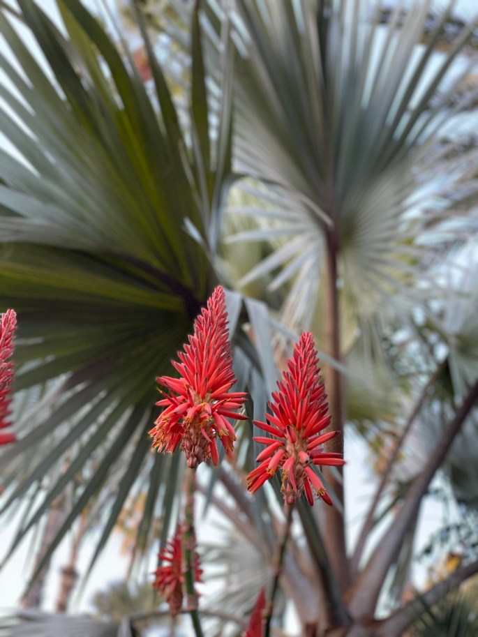 1B7D1B32-91FB-4192-91B7-65FDF4A31F80