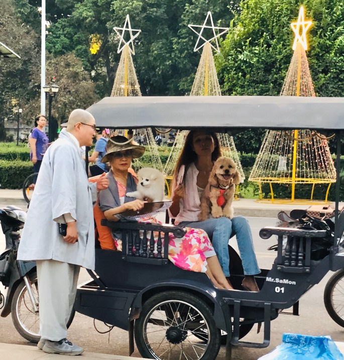 206D719D-4481-4DCE-AD9D-A37019D4DBB0