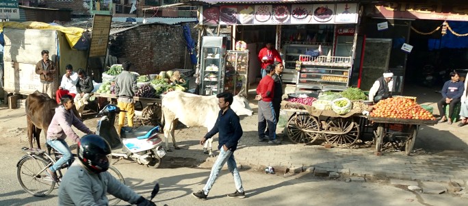 26455C57-502E-485B-A6D1-F76B90F0B097