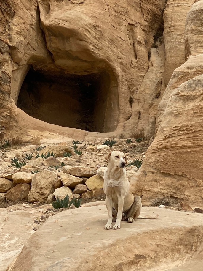 443BC404-4844-4473-B443-EB3FCB3ADC83