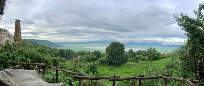 568E10C0-9B92-4FF1-A466-3A029A20DA90