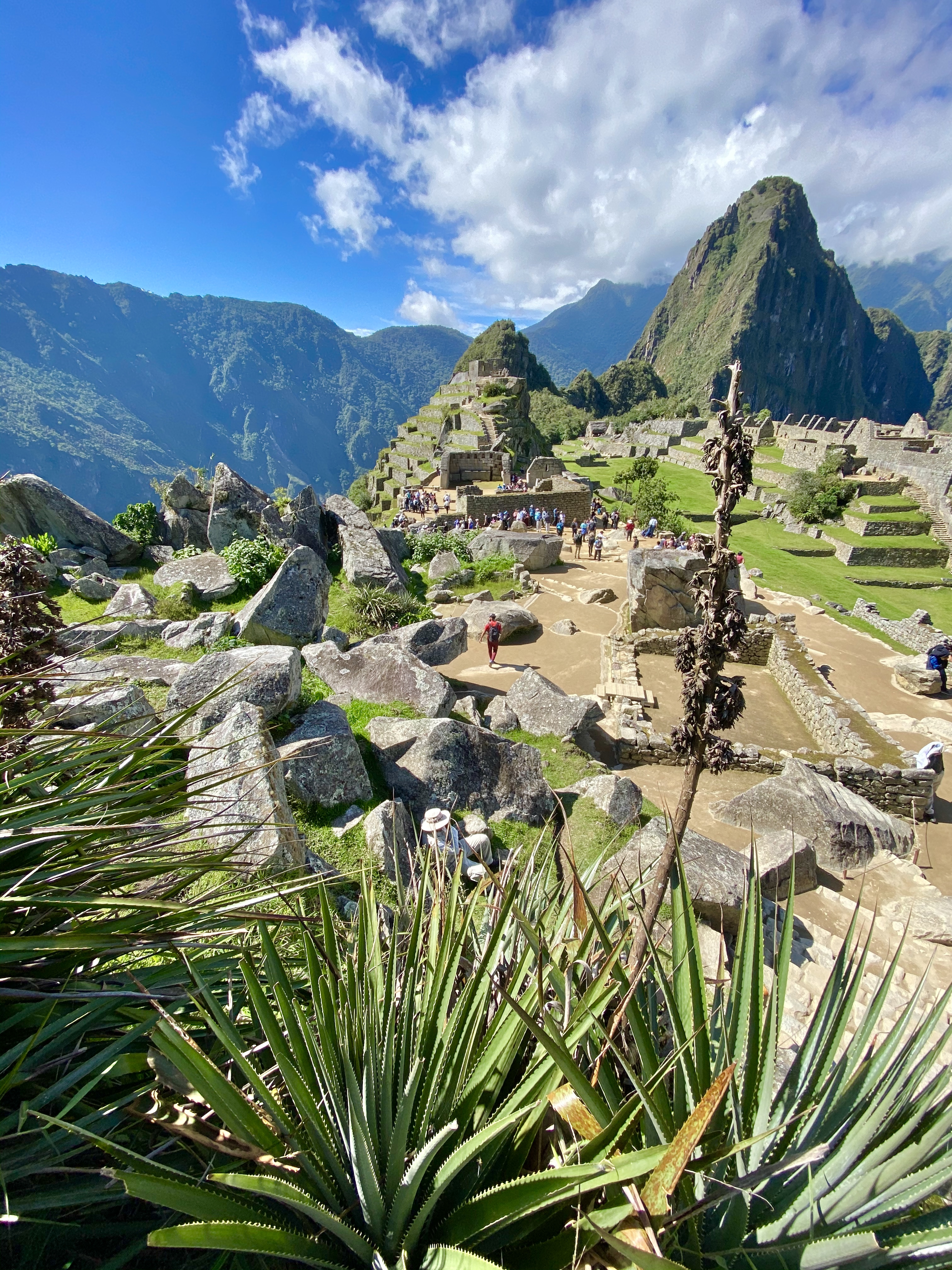 63D311E2-BEE0-4465-A94B-AAF984EF28ED