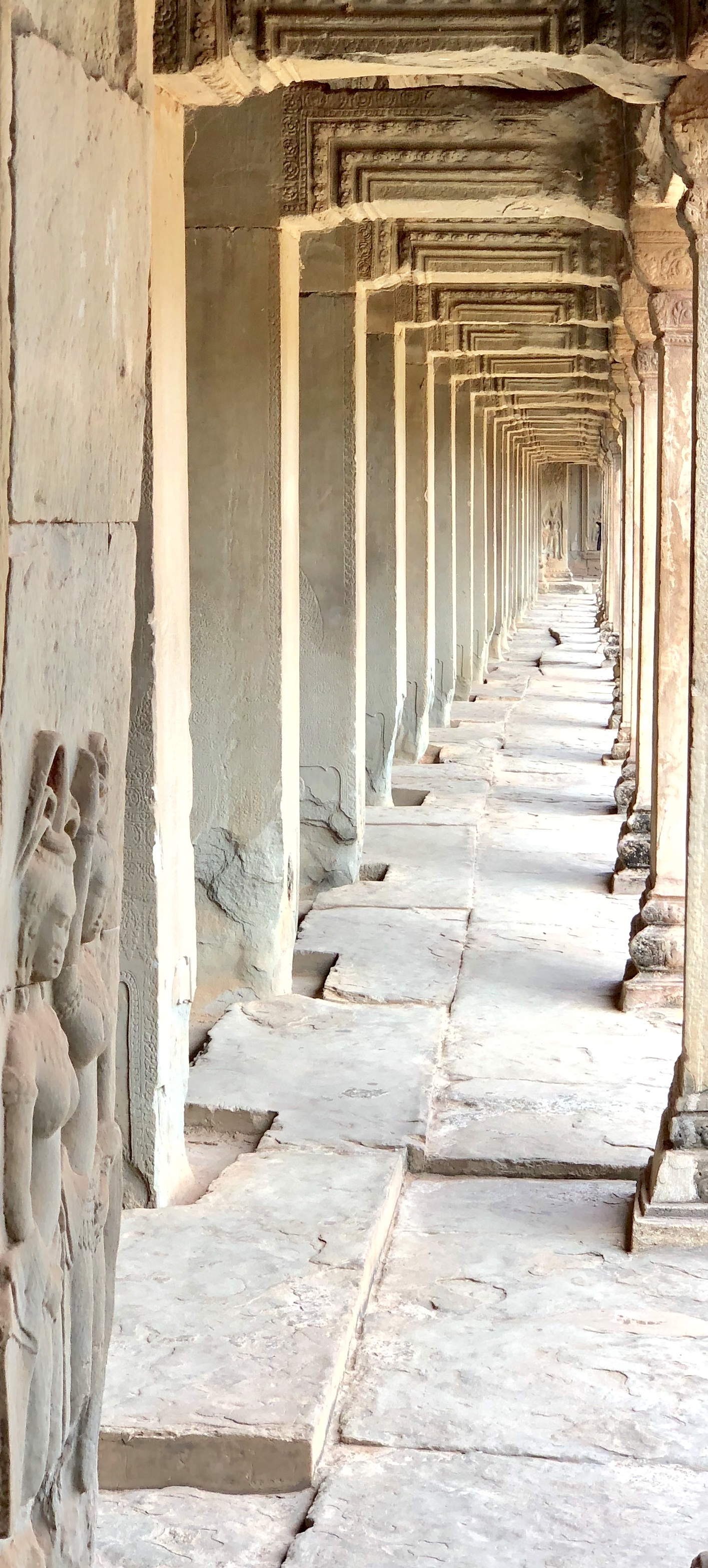 67E912DE-0F28-48E4-BB7A-9AE514598CE6