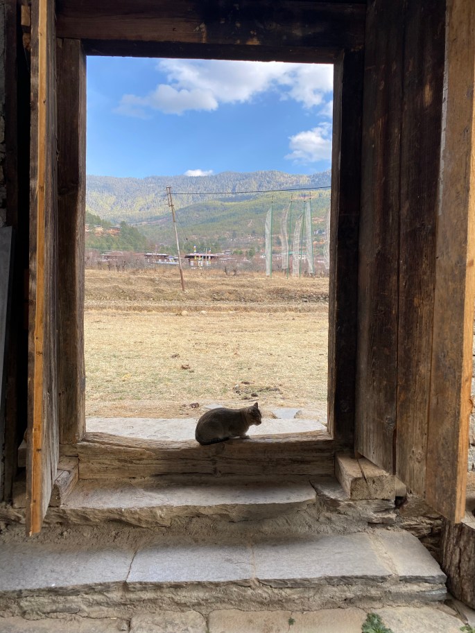 6EA7C4D2-B6B0-44F2-A4AC-8D93F6A23A79