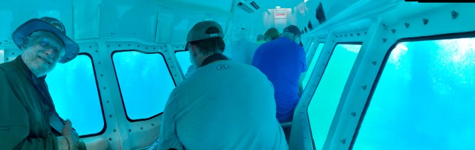 76BA9A68-3C02-4DE8-B0AF-D0B56824616B