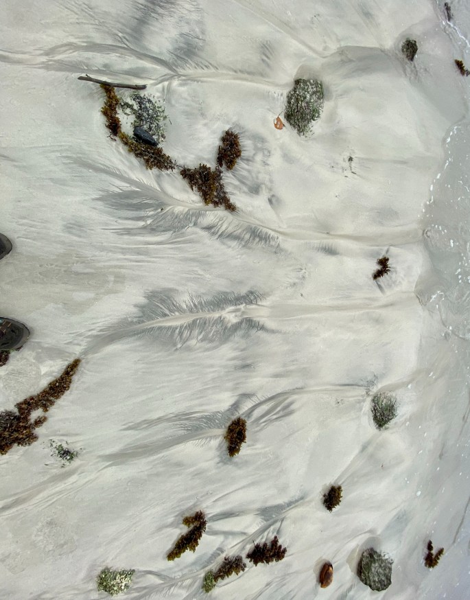 781E96AD-E931-4F75-B012-5DCD4D00909D