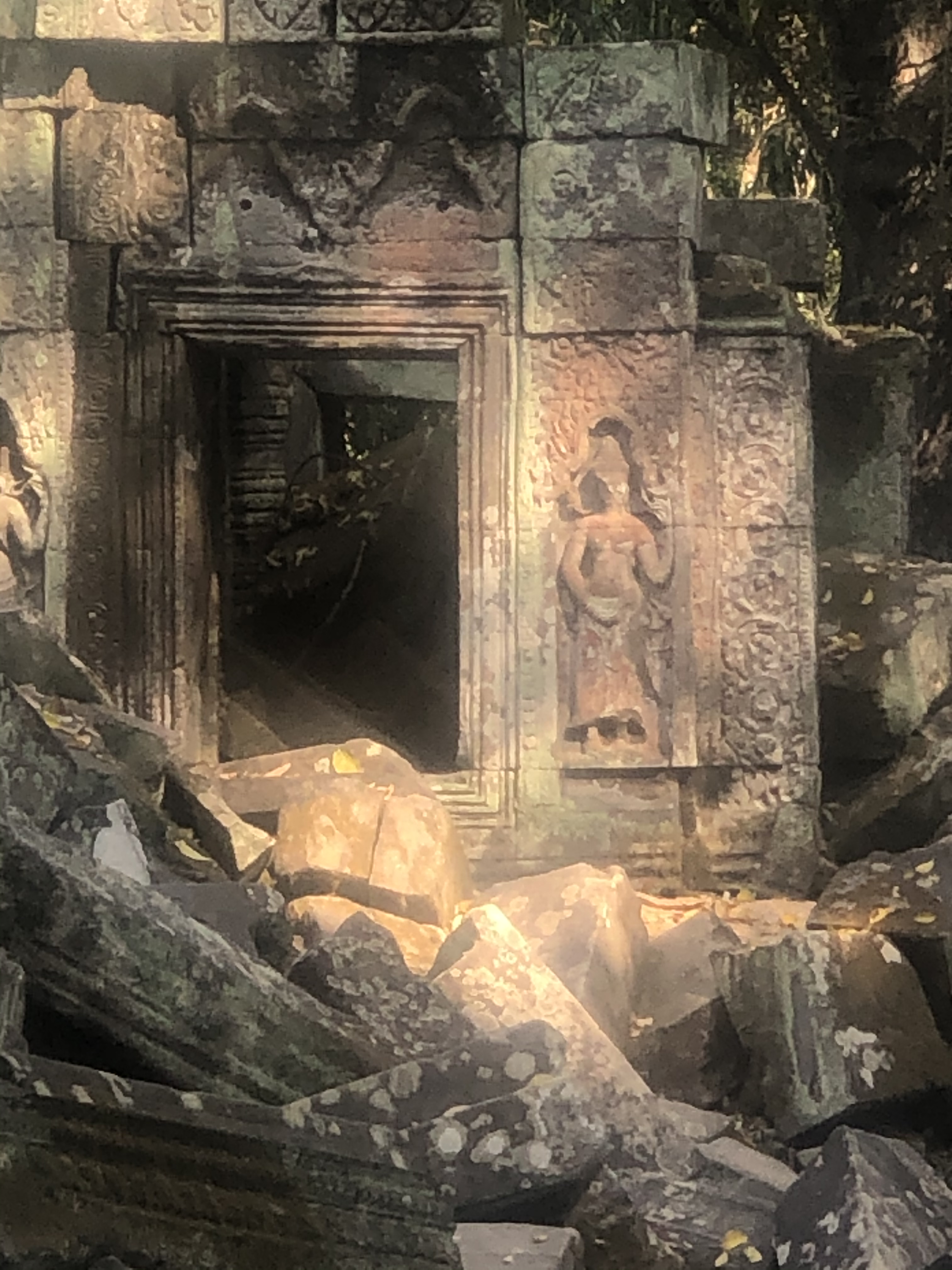 8BBAF5F4-D88D-4082-8831-ECFBF9CF4871