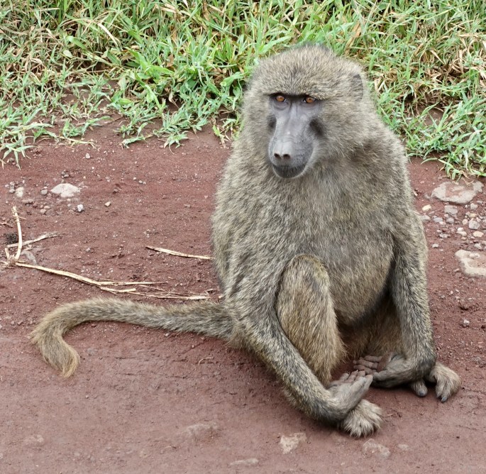 8DC5468C-3F89-43C7-B643-C660DCB37AC9