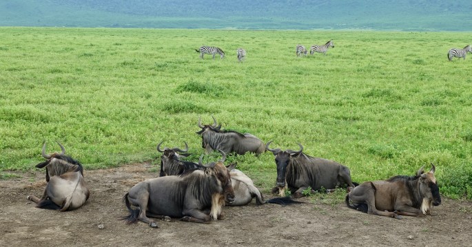 A0B93DFD-A9D7-41C6-84F1-37057BFD926B