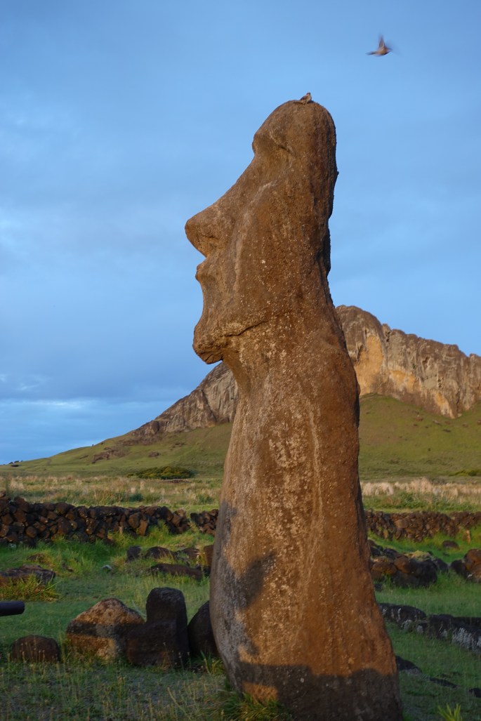 AF5DBECB-7E49-470A-96C1-665FB19417AB