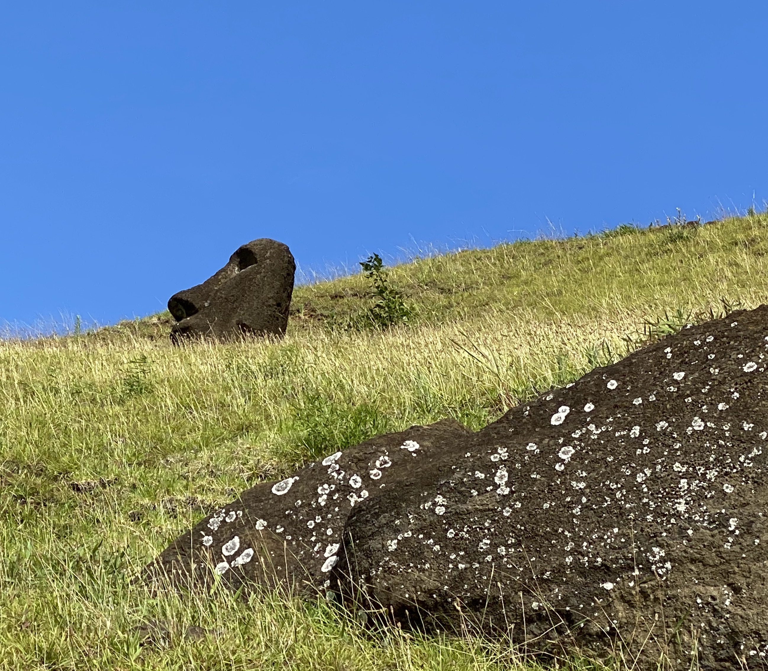 B1474738-EE6F-42CC-A202-B7B4FC2FE3C3