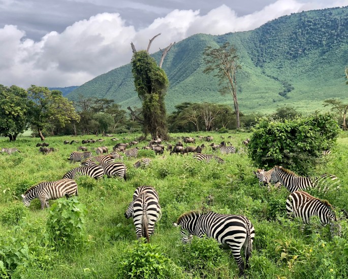 DC5C2C10-5892-4D91-B95D-8B84E041855A