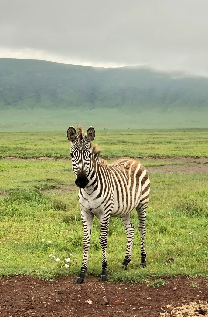 DDA5EC17-AB11-4E13-82FD-A9C6DF55CDAF