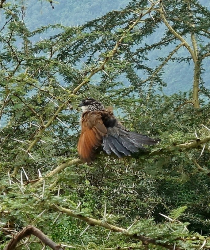 FED30E19-1E31-473D-AEF2-BEF1B7640E8A