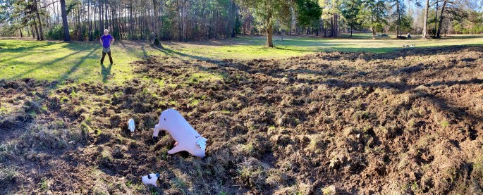 97AB00C0-F612-4D0B-B5B6-B1C83A9AF467_1_201_a